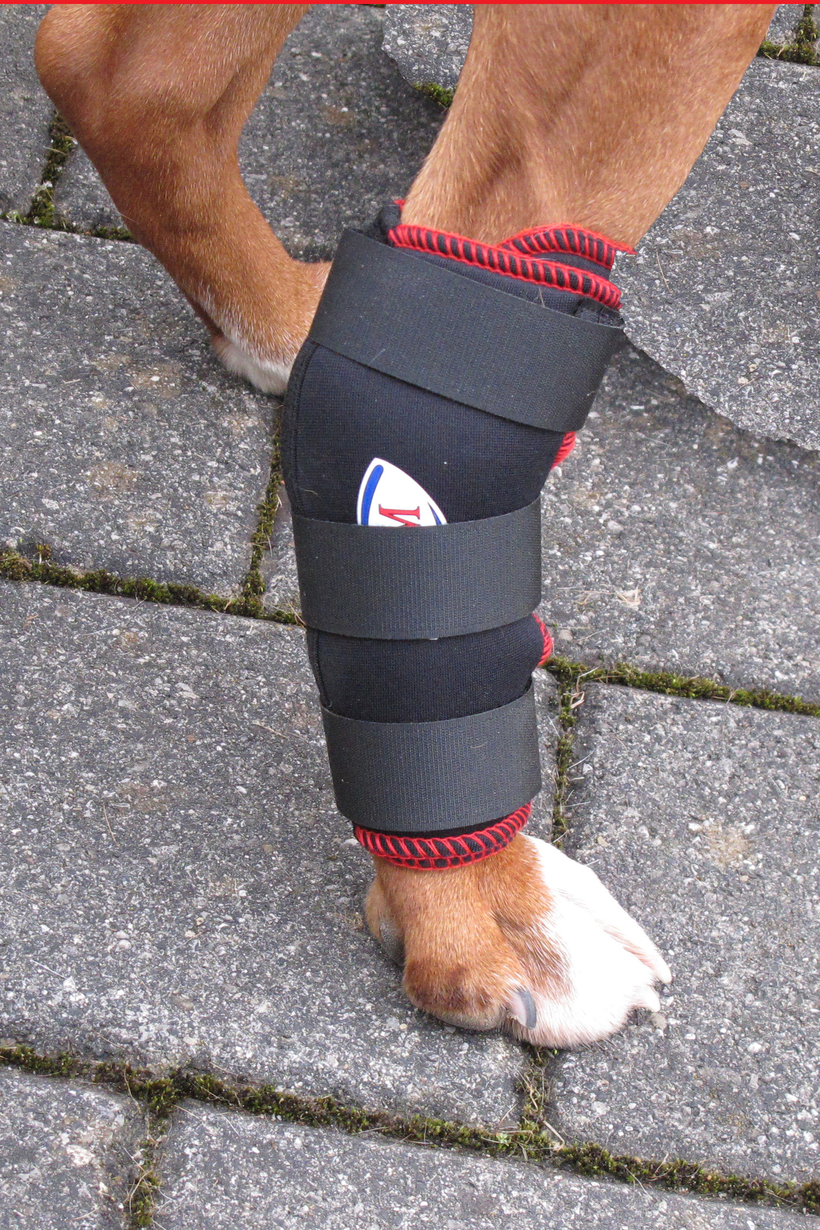 TSM vet-Reha-Bandage für ohne Schiene, 7530, Hundebandage